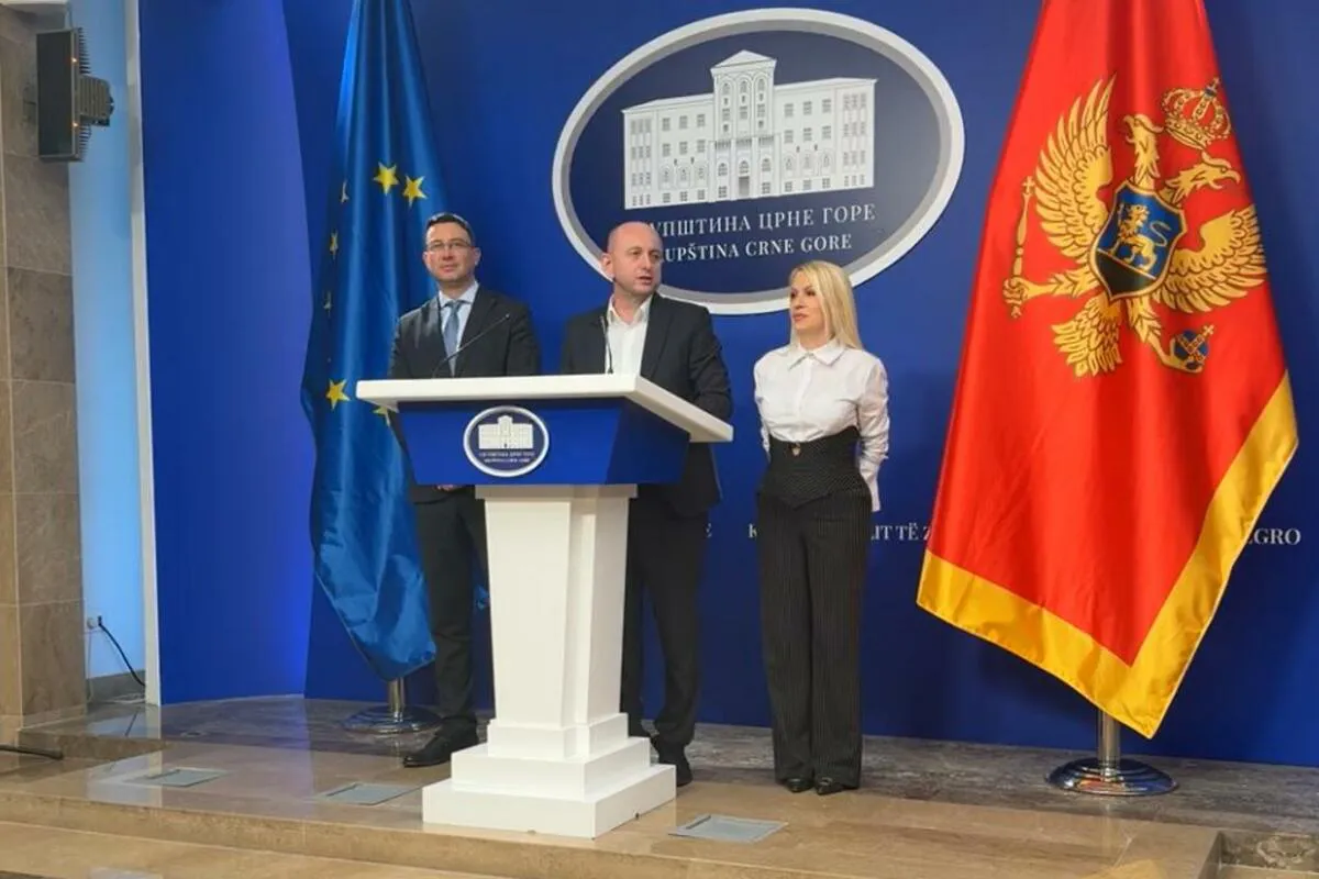 DNP predao predlog za trobojku kao 'narodnu i istorijsku' zastavu