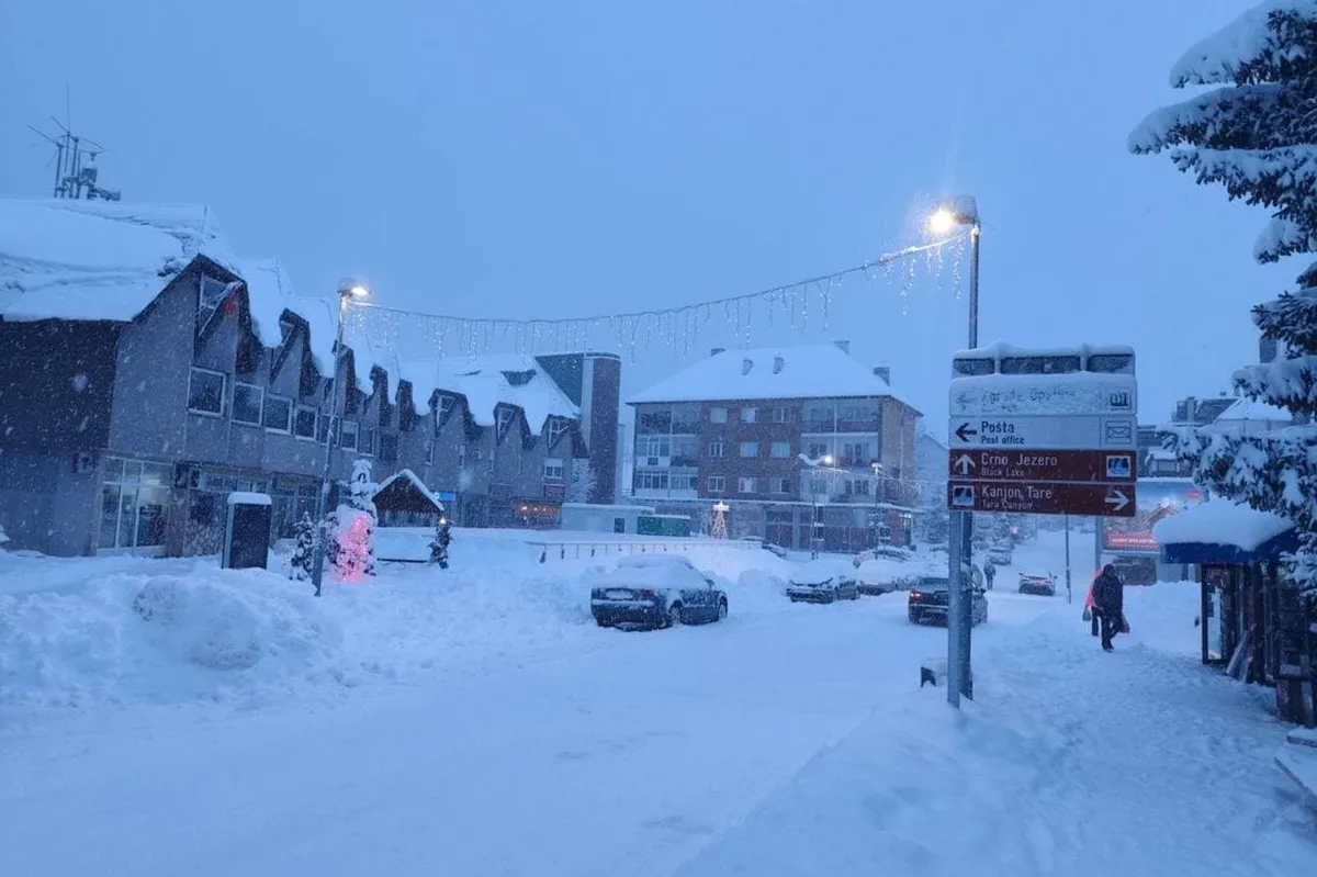 DPS Žabljak: Odluka o trobojci nelegitimna, tražimo inspekcijski nadzor