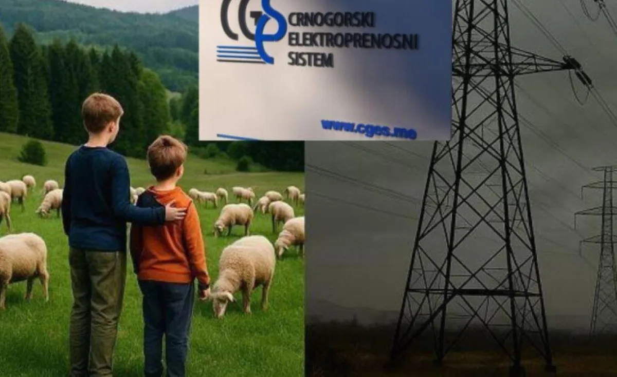 Građanska inicijativa Spasimo Brezna: CGES ignoriše lokalne zajednice