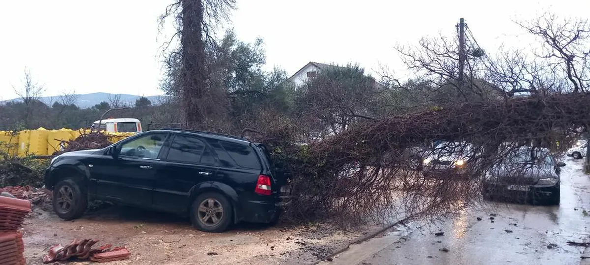 Haos u Tivtu: Srušena stabla usled olujnog vjetra