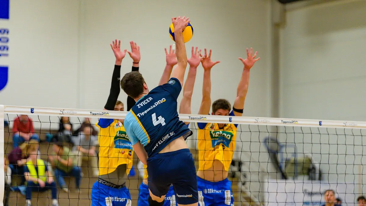 Ivan Zvicer i Nikola Đurović briljiraju u MEVZA ligi