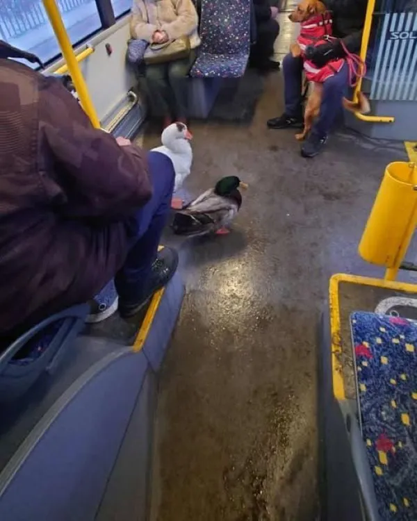 Izaberite svog borca: Nova inicijativa za podršku sportistima