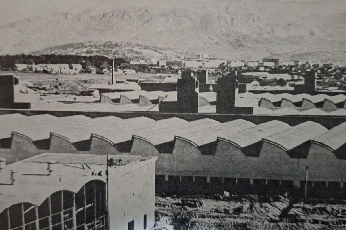 Izvoz iz Crne Gore: Istorijski podaci iz 1976. godine