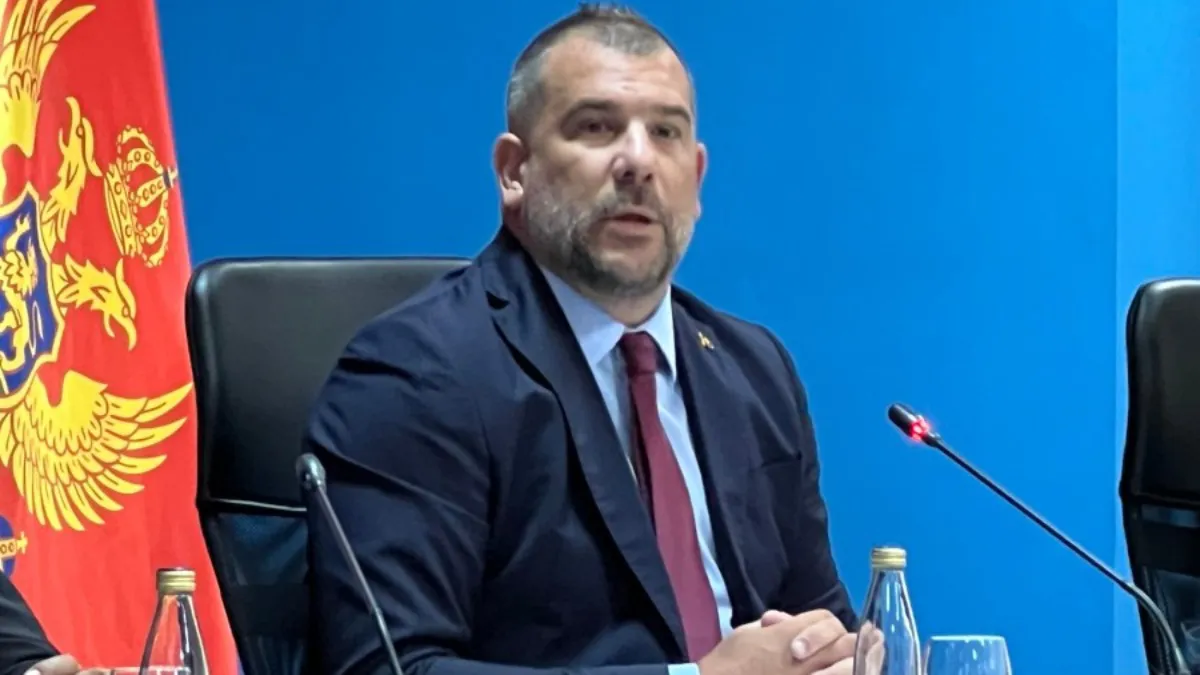 Krapović o inicijativi Milatovića: Promašena i osuđena na neuspjeh