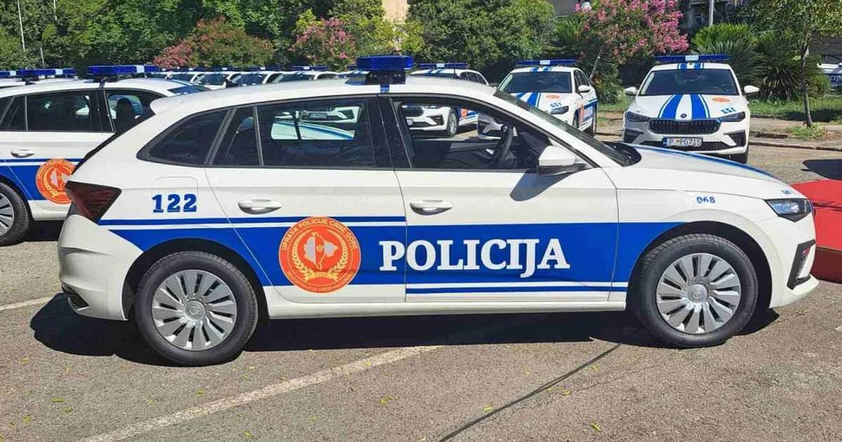 Krivična prijava protiv četiri maloljetnika za vršnjačko nasilje u Podgorici