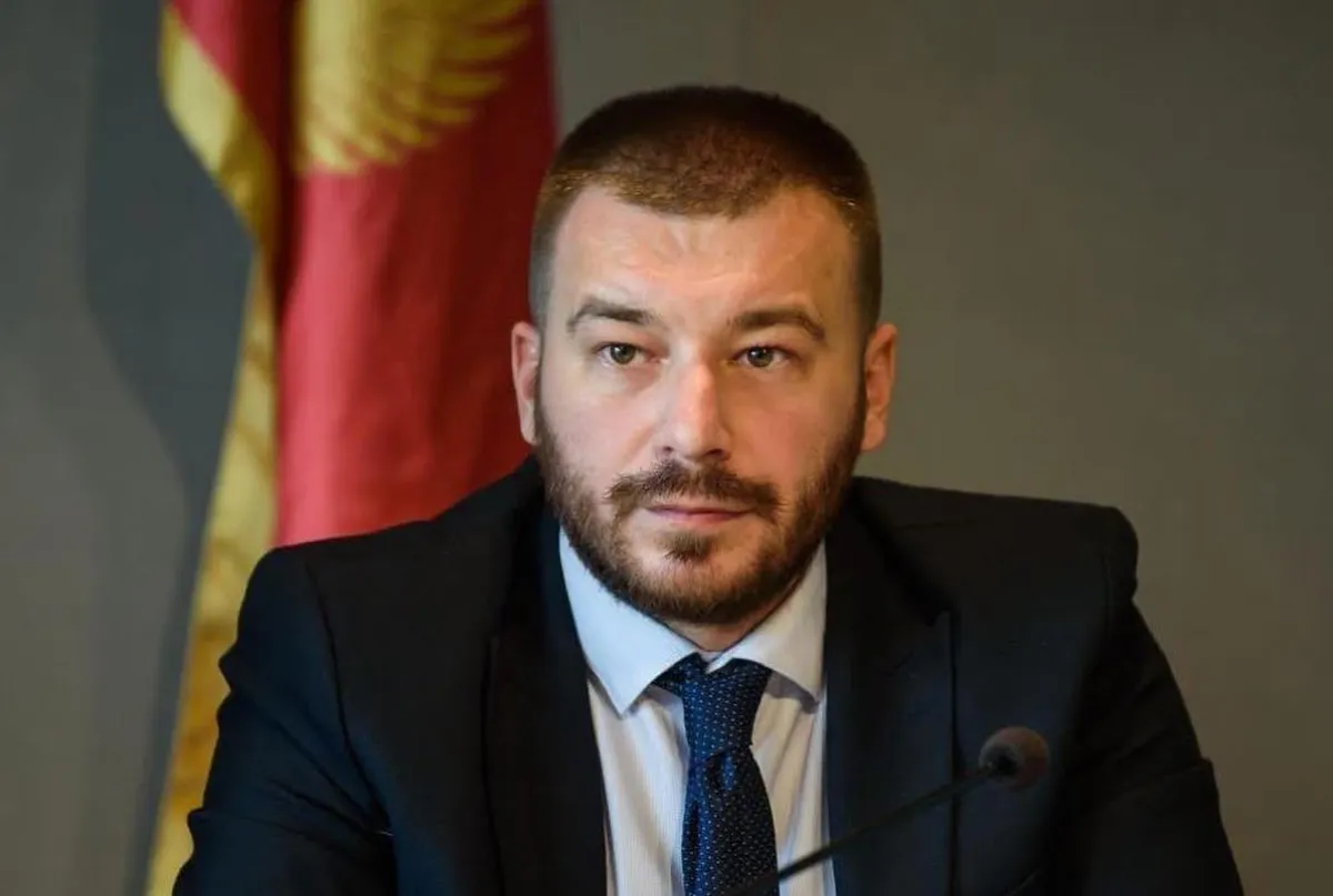 Krstović: Mišljenje Evropskog saveza ima ograničenu političku težinu