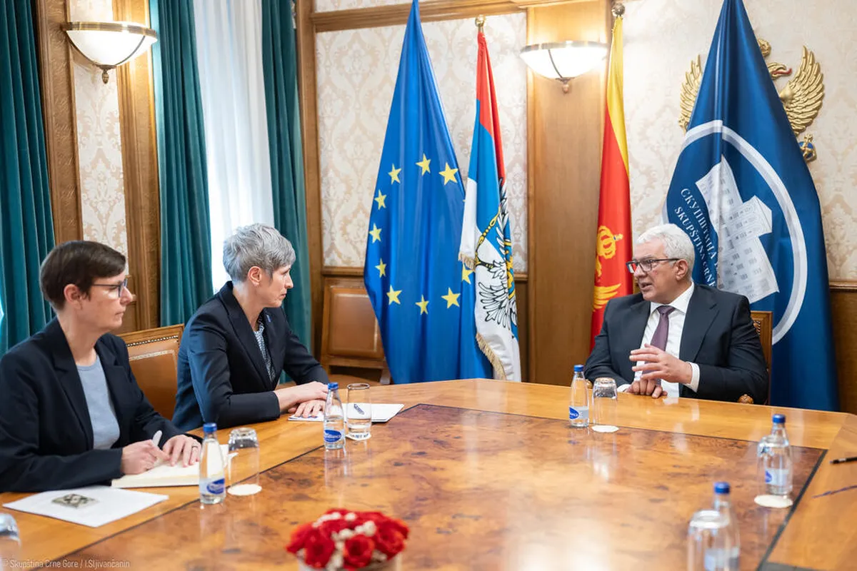 Mandić i Paniklova o važnosti partnerstva Skupštine i UNDP-a