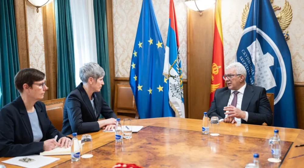 Mandić i Paniklova: Skupština ključna za reforme i zelenu tranziciju