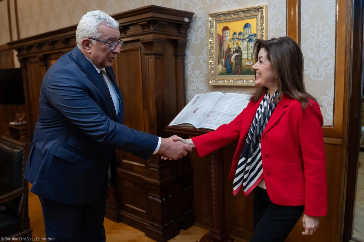 Mandić: Očekujem unapređenje odnosa sa Turskom tokom mandata Unlu