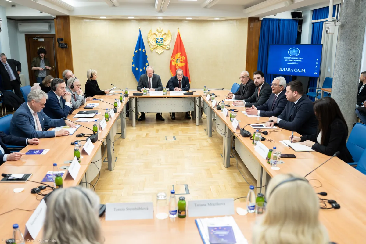 Mandić: Skupština glavni motor evropskog puta Crne Gore