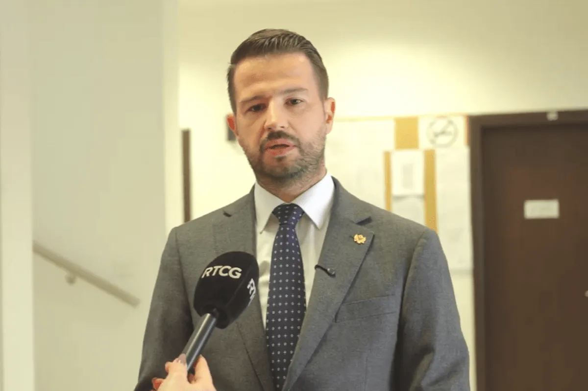 Milatović: Neozbiljna Vlada koči evropski put Crne Gore