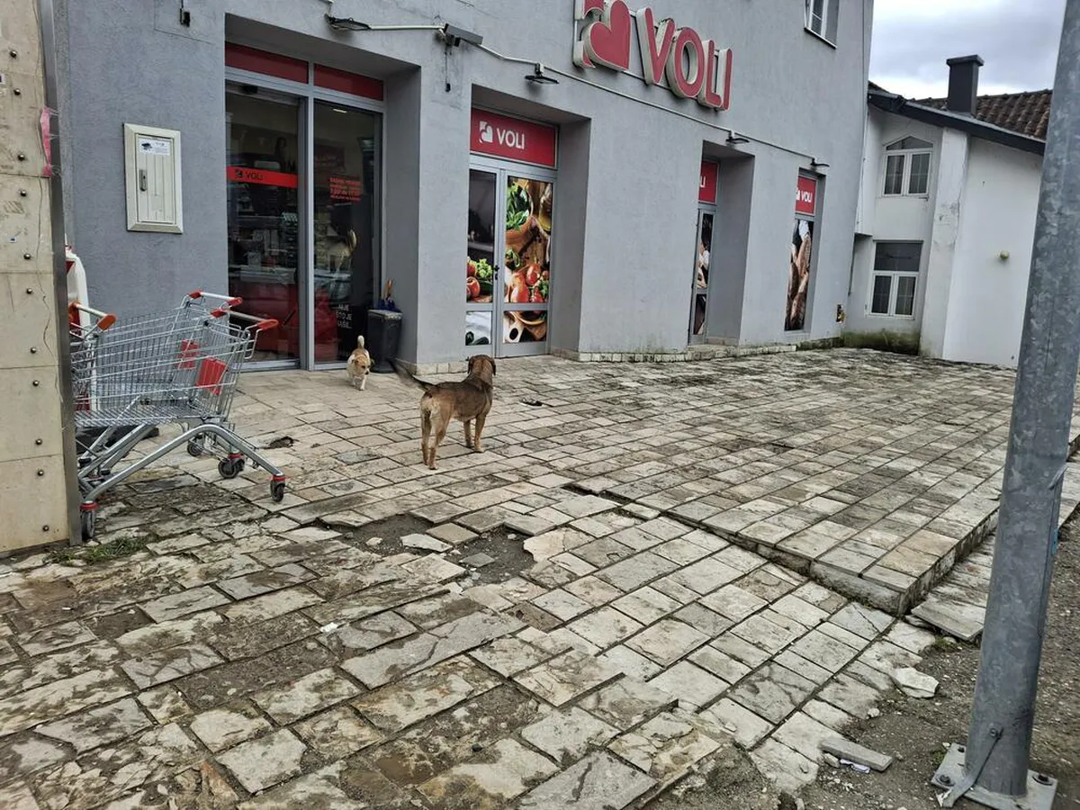 Mojkovac: Nestali psi izazvali sumnje među građanima