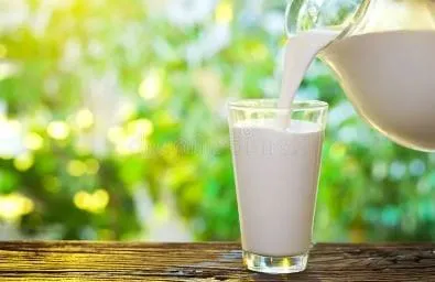 Monstat: Zabilježen rast otkupa mlijeka u četvrtom kvartalu prošle godine