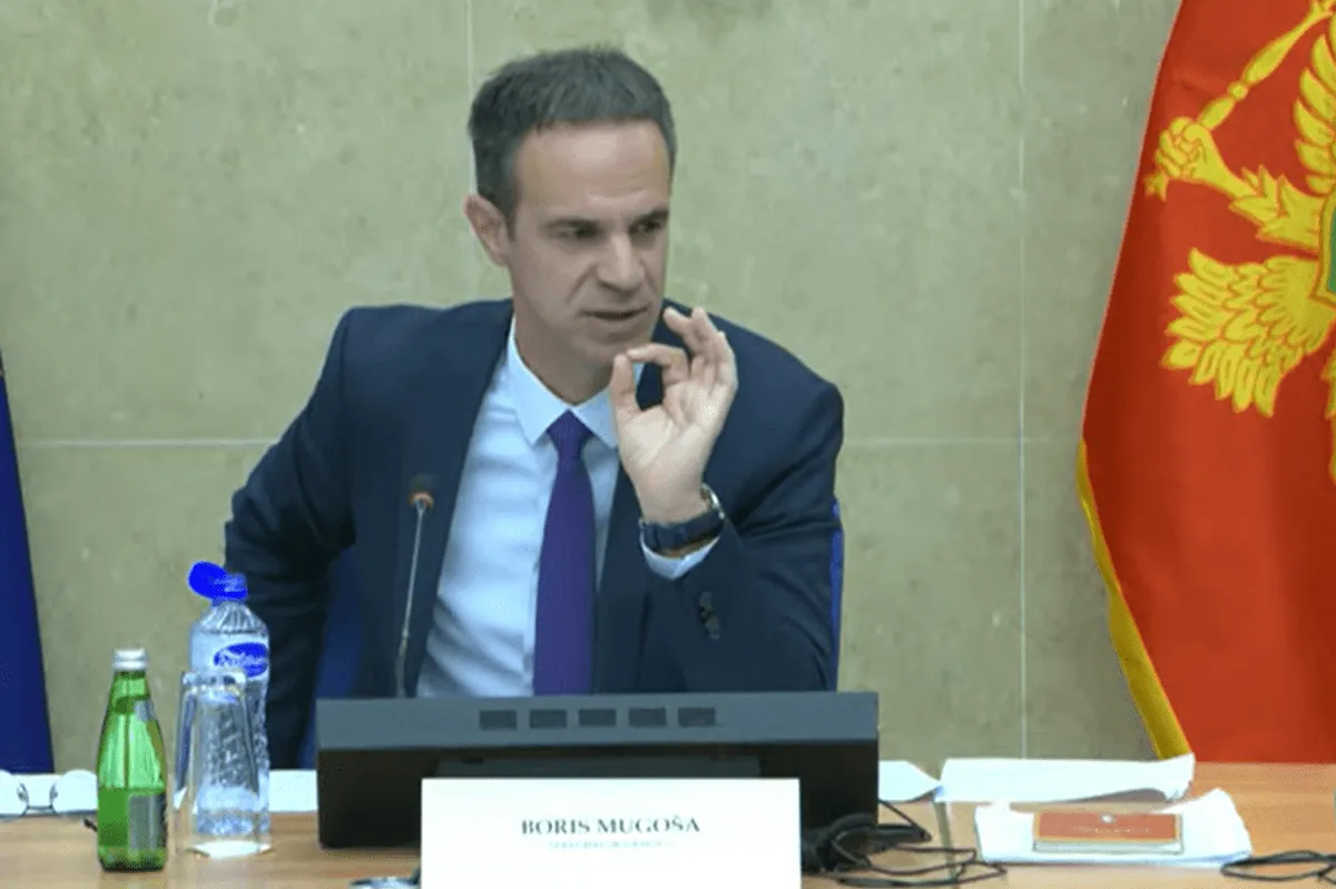 Mugoša: Nijesu svi zakoni morali biti usvojeni istog dana