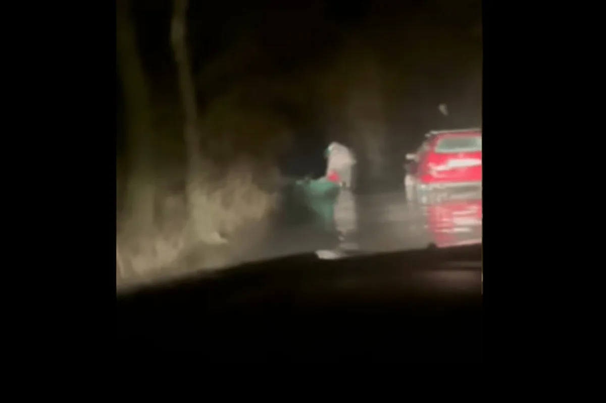 Na Skadarskom jezeru uhvaćeno više krivolovaca Na Skadarskom jezeru uhvaćeno više krivolovaca