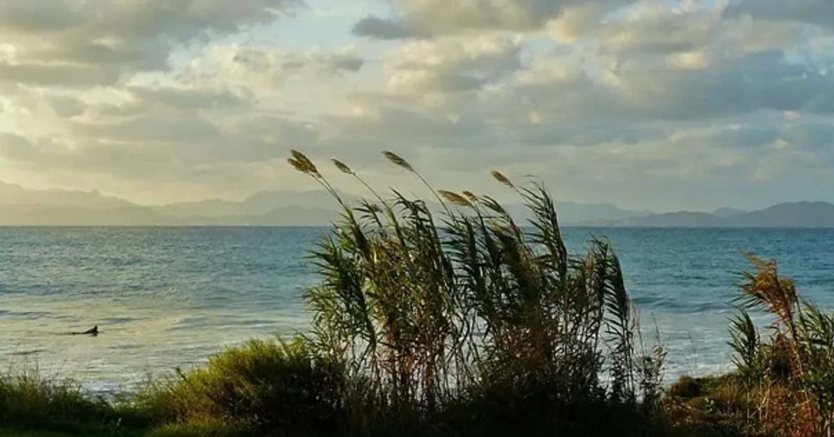 Narandžasti meteoalarm na snazi: Dan uz pljuskove i jak vjetar u Crnoj Gori
