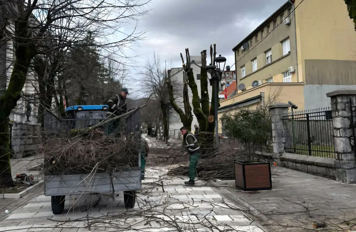 Nastavak radova na orezivanju grana u Cetinju