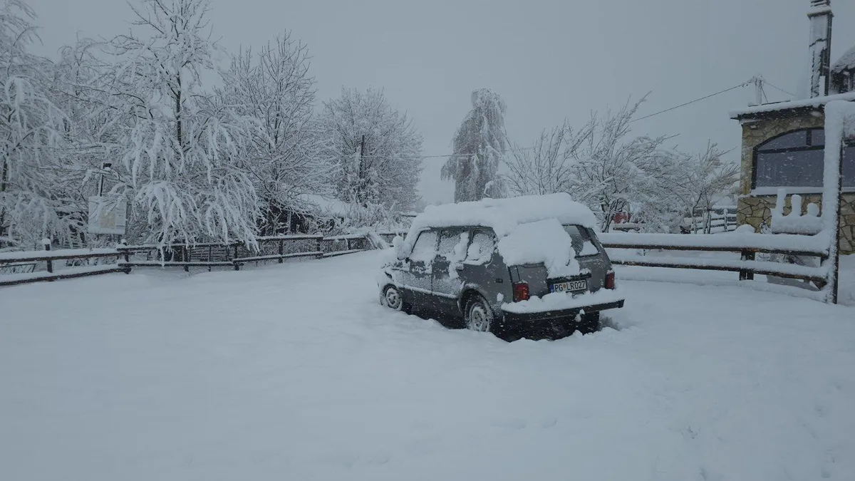 Neprohodan put ka Kučkim koritima: Čeka se čišćenje