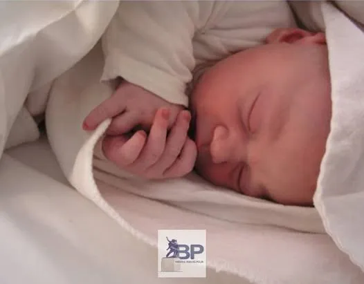 Nestašica HiPP hrane za bebe zbog dužih kontrola na granici