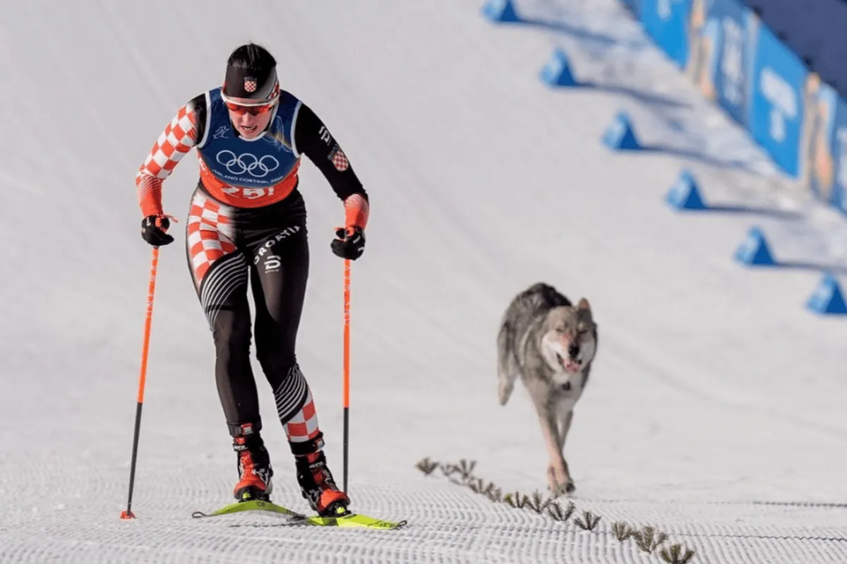 Nevjerovatne scene na ZOI: Pas se priključio trci u sprintu