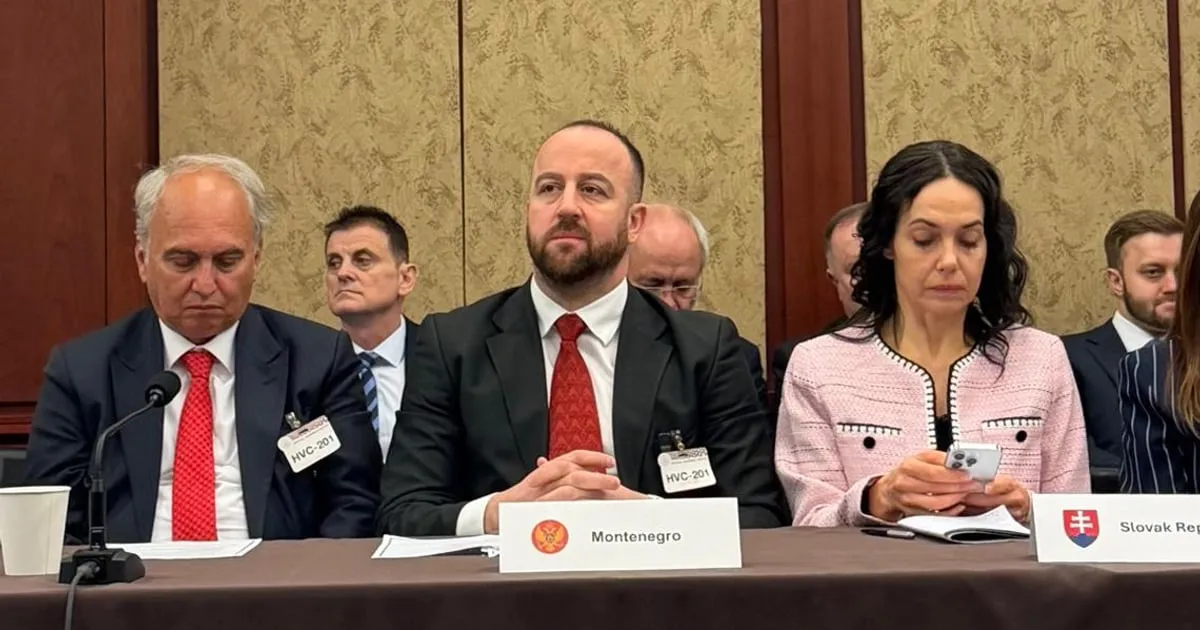 Nikolić: Crnoj Gori potrebna jača podrška saveznika protiv destabilizacije