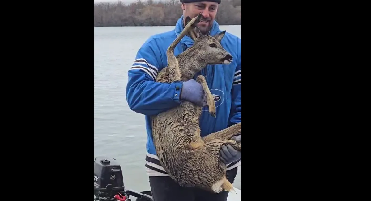 Nikšićani spasili srnu iz Krupačkog jezera dok su pecali