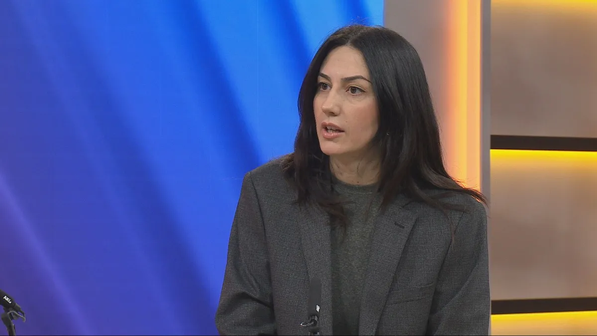 Pejović: Slučaj Medenice i Mitrović odražava krizu bezbjednosti