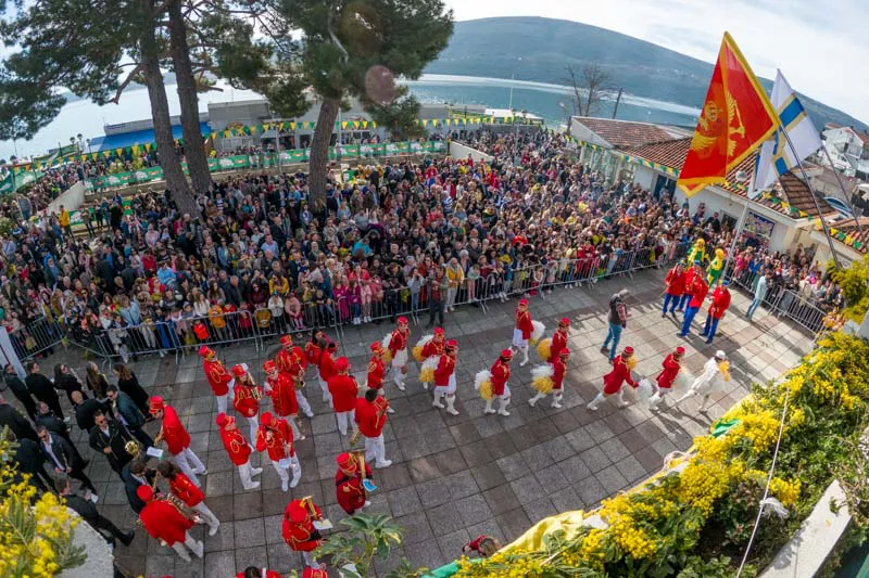 Počinje 57. Praznik mimoze u Herceg Novom: Defile, koncerti i izložbe