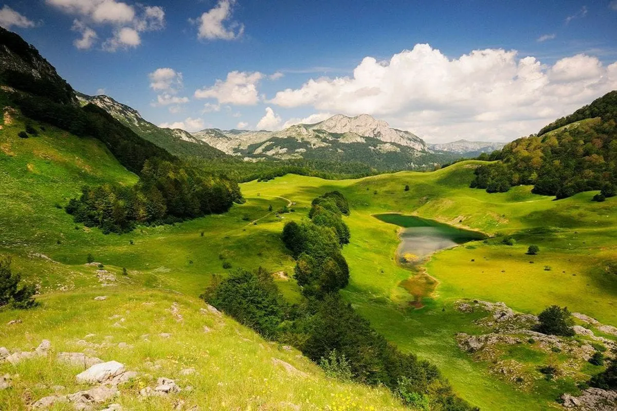 Policija u BiH pronašla nestale crnogorske državljane