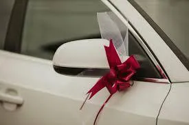 Policija u Hrvatskoj presrela svadbenu kolonu, slijede visoke kazne