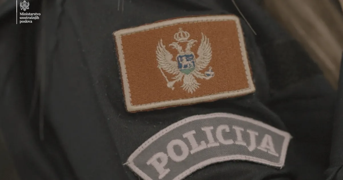 Policija u Podgorici lišila slobode sedam lica zbog imovinskih krivičnih djela