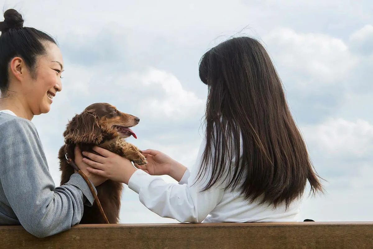 Porast dijagnoza autizma: Razlozi i pogrešna shvatanja