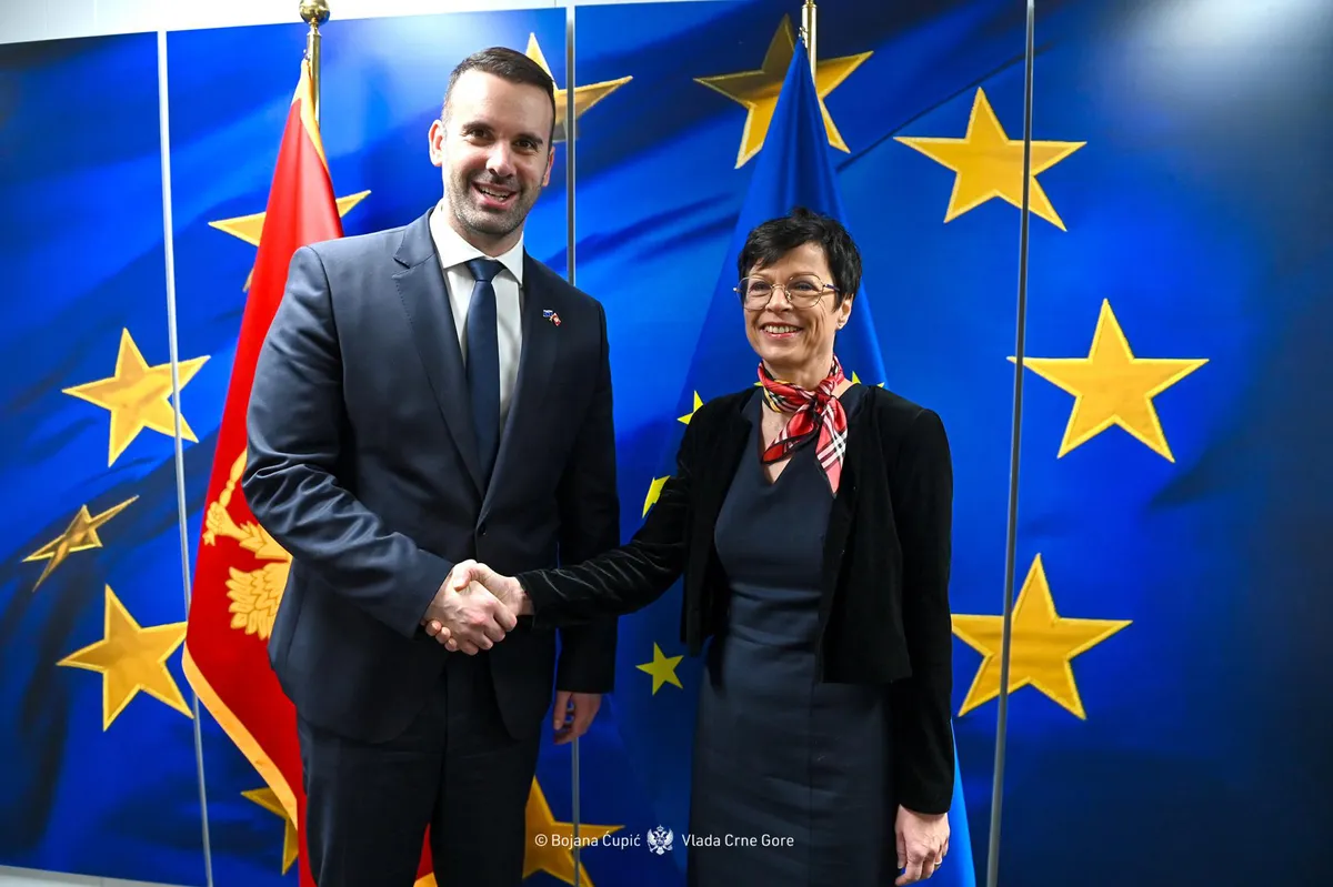 Pozicija za Poglavlje 21 pred Radnom grupom EU sjutra