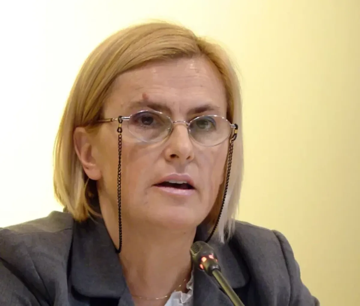 Prof. dr Lidija Tomić: Istina o srpskom jeziku u Crnoj Gori još nije odbranjena