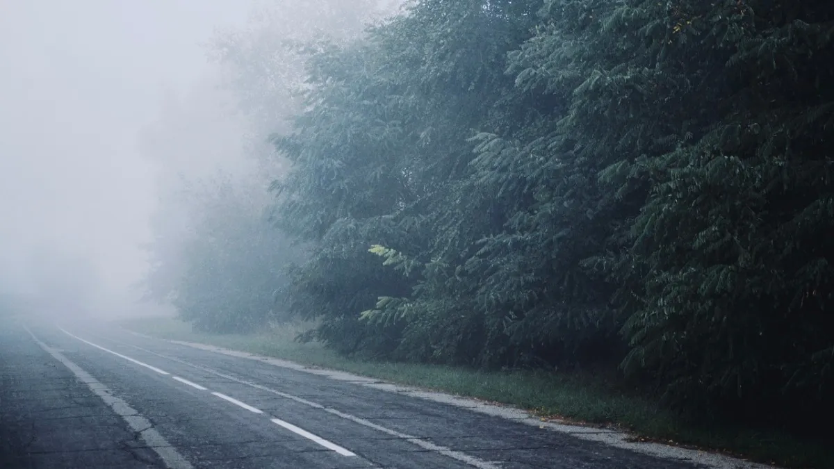 Saobraćaj u Crnoj Gori: Mokri kolovoz i magla otežavaju vožnju