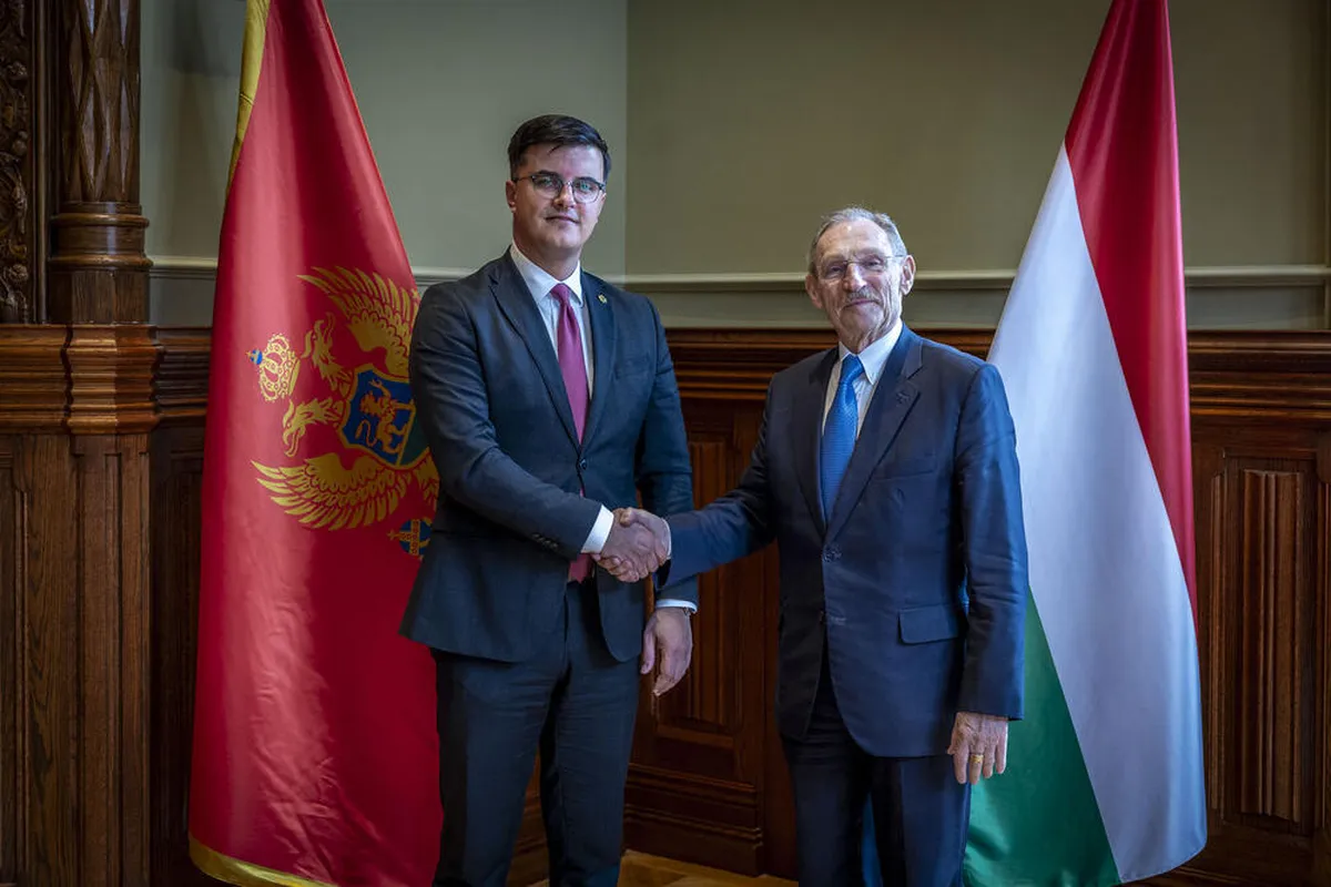 Šaranović: Bezbjednosni sistem EU može da računa na Crnu Goru