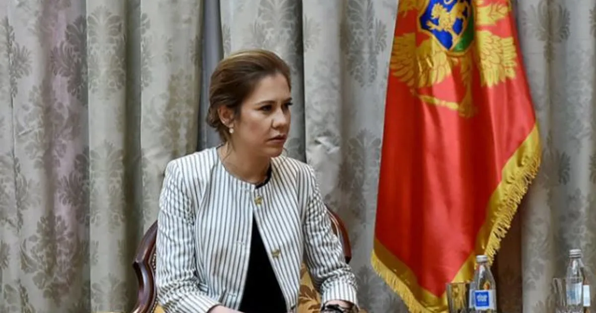 SDT tereti Vesnu Bratić zbog nerazrešenja 40 direktora, a ne 200 smjena