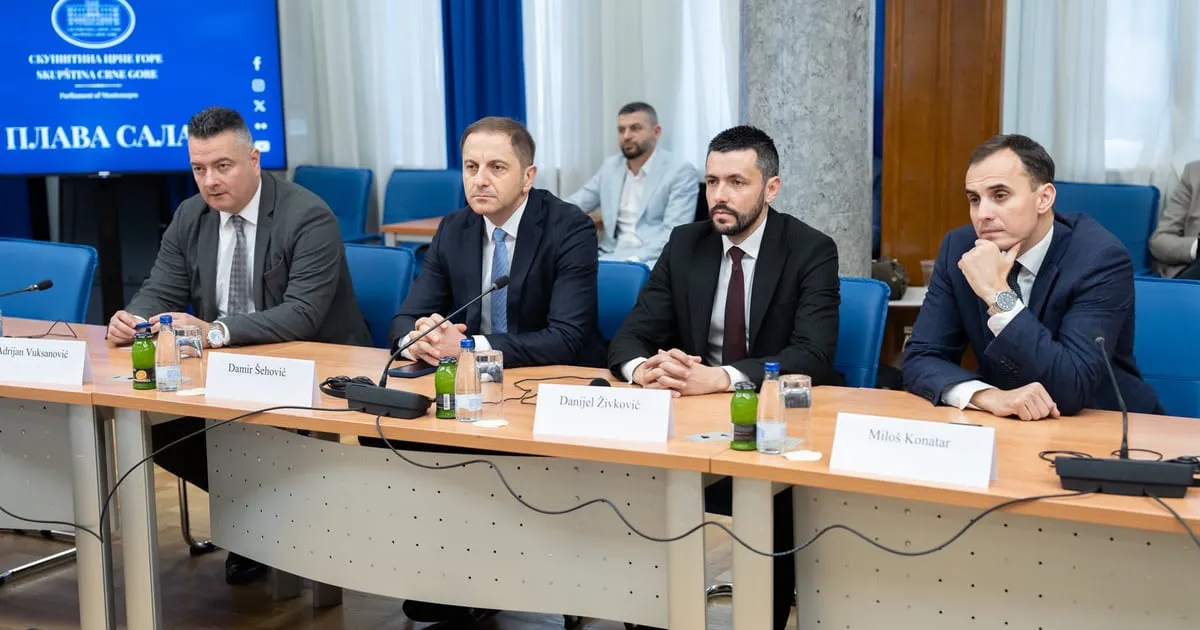 Šehović: Crna Gora u EU je strateški interes građana, ali ne i Vučića