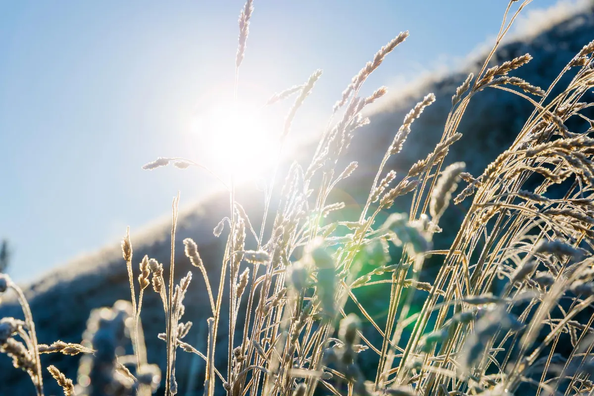 Sjutra pretežno sunčano, mogući slabi snijeg u sjevernim oblastima