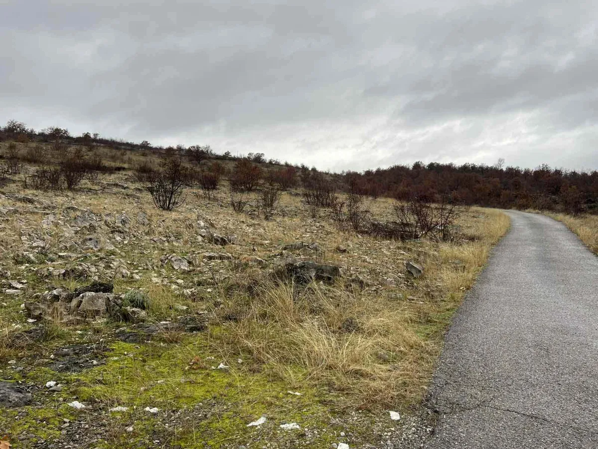 Stanovnici Lješanske nahije traže sastanak zbog stočnog groblja