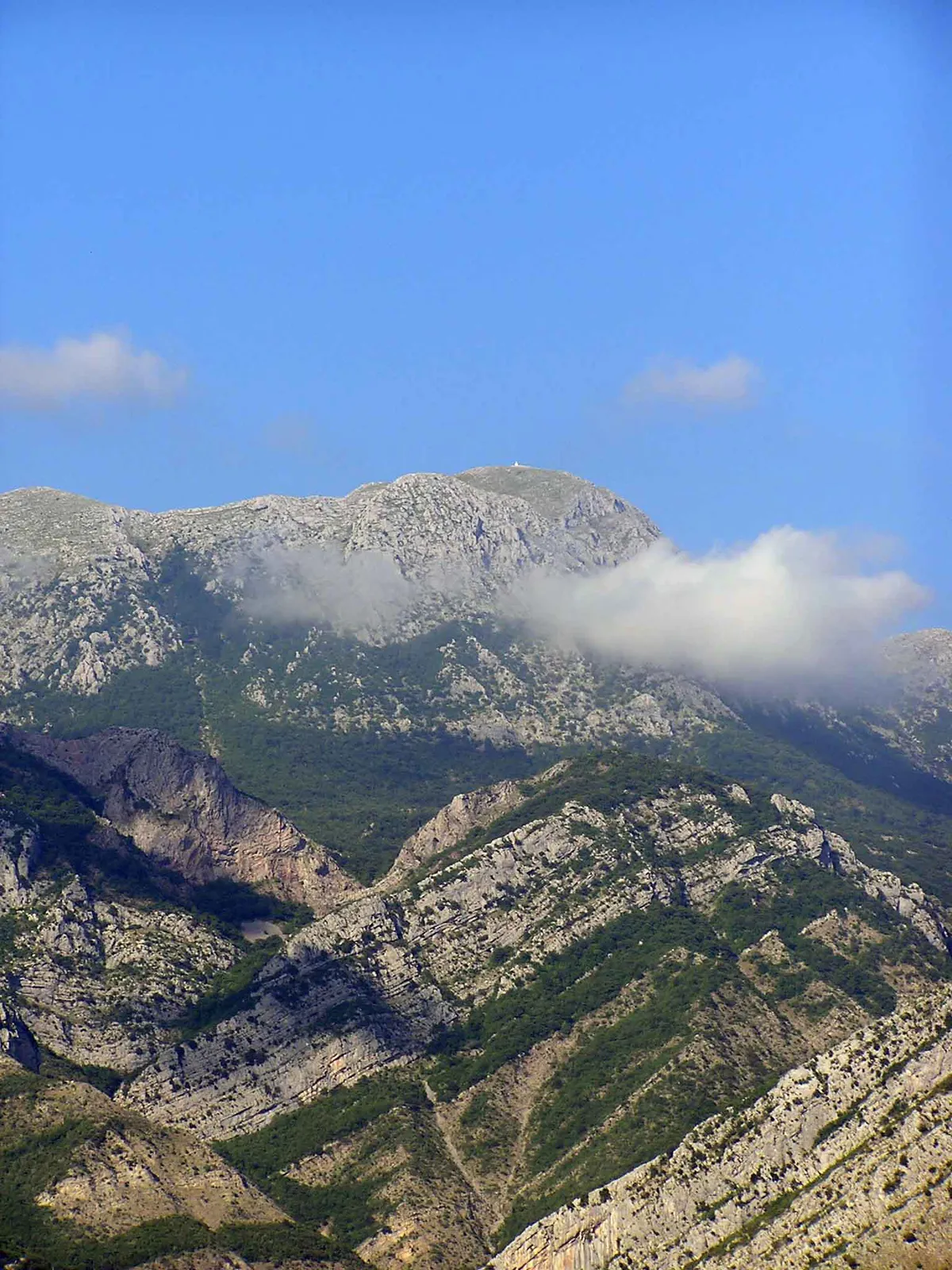 Sveti Vladimir: Duhovni autoritet Jugoistočne Evrope