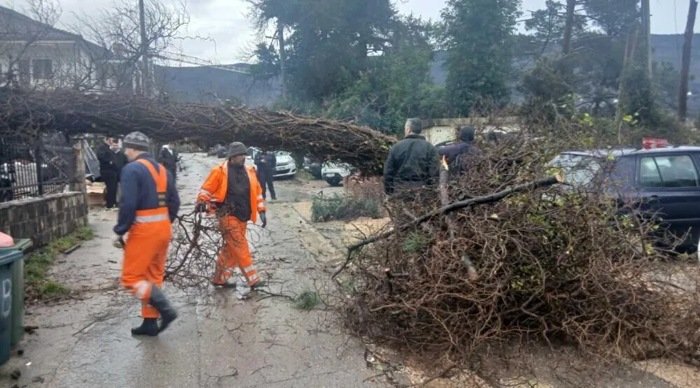 Tivat: Jak južni vjetar napravio štetu u Mrčevcu, obarao stabla i oštetio krovove