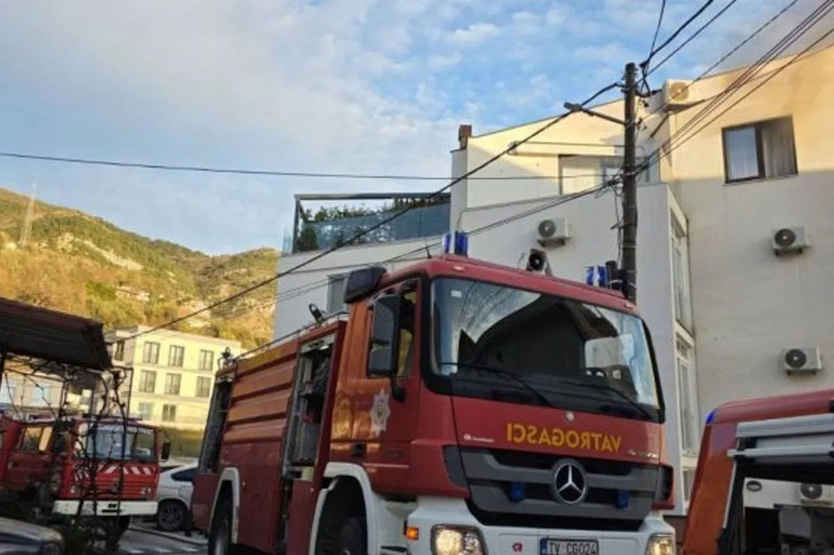 Tivat: Požar u stanu, spašena mačka