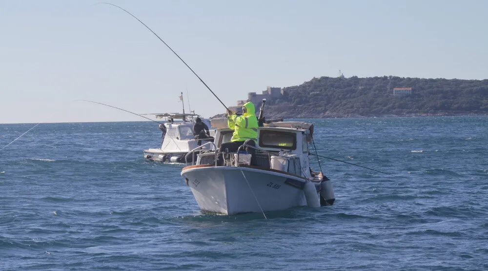 Tivćanin Radovan Popović najuspješniji domaći sportski ribar Tivćanin Radovan Popović najuspješniji domaći sportski ribar