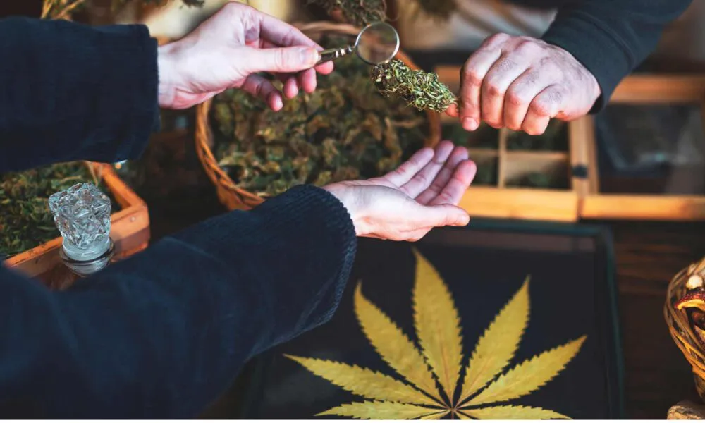 Trava zaborava: Balkan kao epicentar krize i korupcije