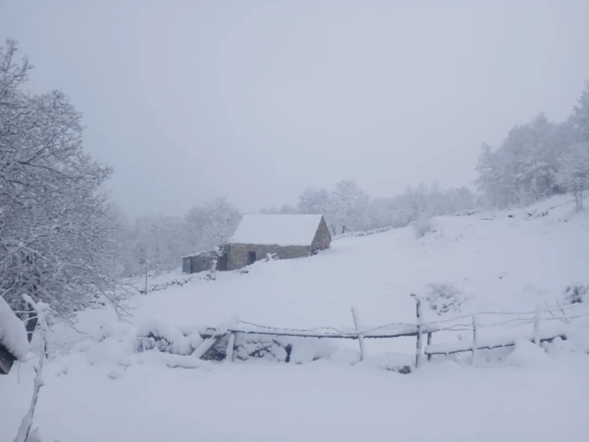 U Donjim Crkvicama snijeg neprestano pada, put skoro neprohodan