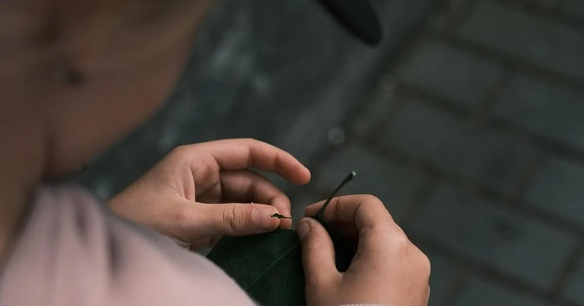 Uhapšena majka iz Berana zbog trgovine ljudima i prinudnog prosjačenja djece