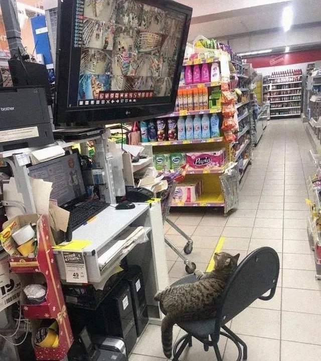 Upravljanje terapijom kroz fotografiju: novi trend u Crnoj Gori