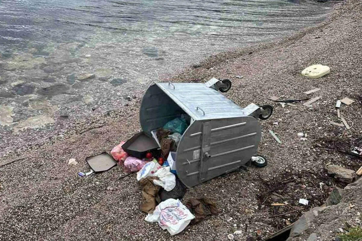 Vandalizam u Tivtu: Kontejneri ponovo završavaju u moru