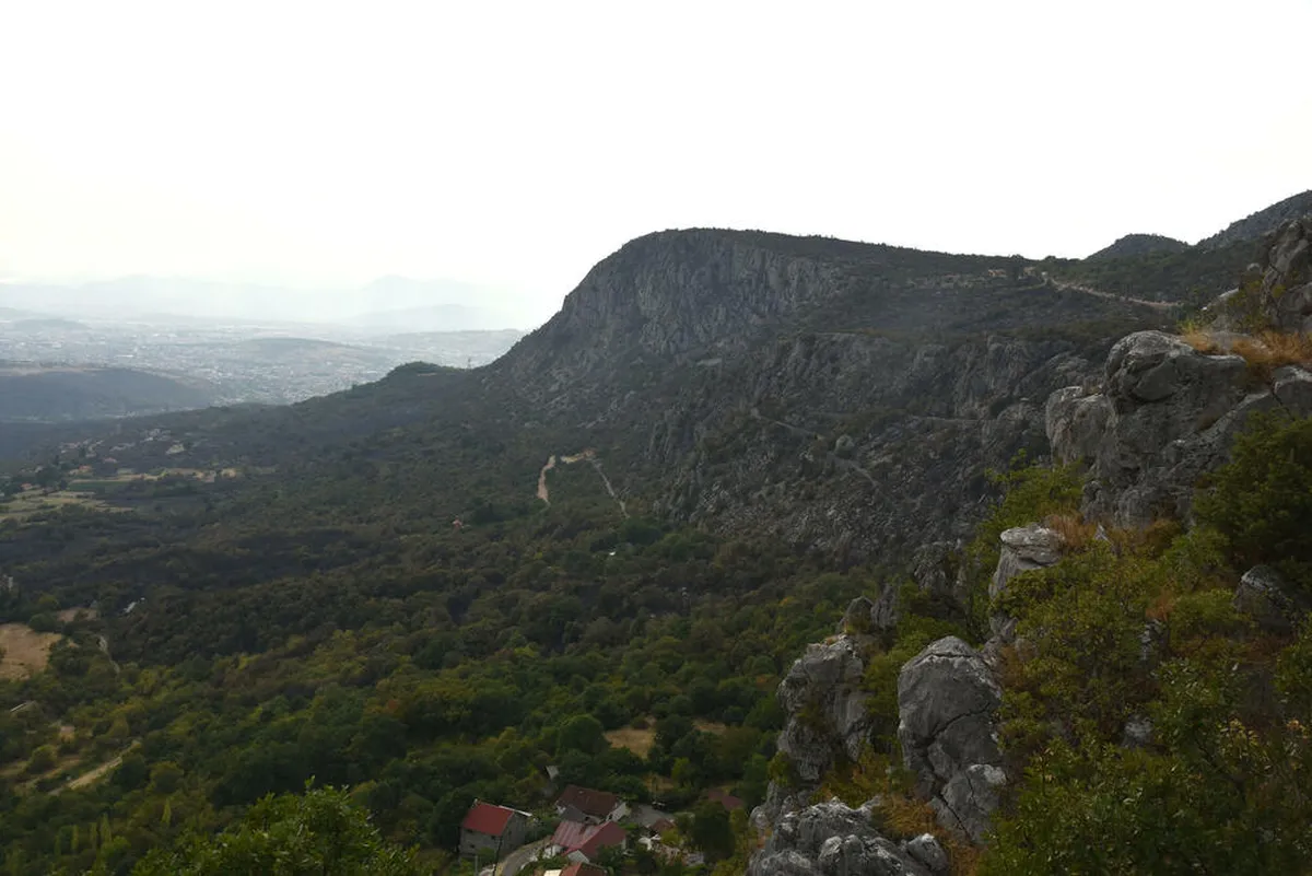 Za modernizaciju sektora šuma 18 miliona: Vlada pregovara o sredstvima